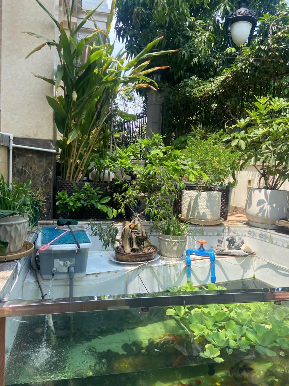 Cho thuê Nhà mặt tiền Phường Hiệp Bình Chánh, Thủ Đức, Diện tích 154m², Giá 023 Triệu/tháng 3