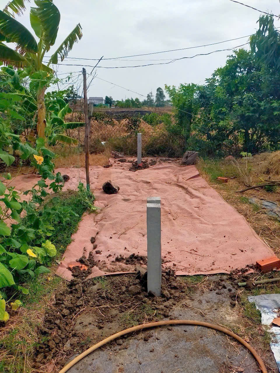 Đất thổ đô thị giá rẻ công nhân 105m2 tt cần đước mua kiếm lời chỉ 350tr