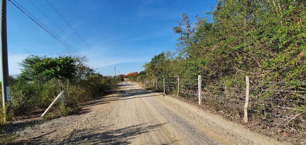 bán 10ha view biển quy hoạch đất ở và tmdv Ninh Vân Ninh Hòa 0985451850 3