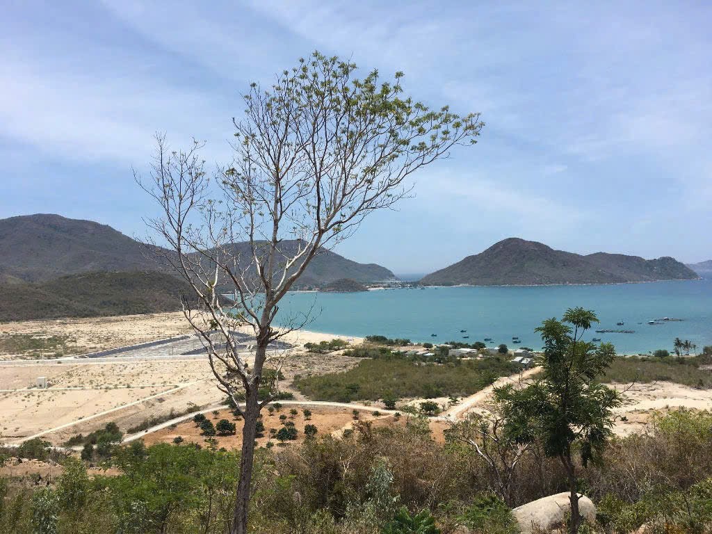 bán 10ha view biển quy hoạch đất ở và tmdv Ninh Vân Ninh Hòa 0985451850 2