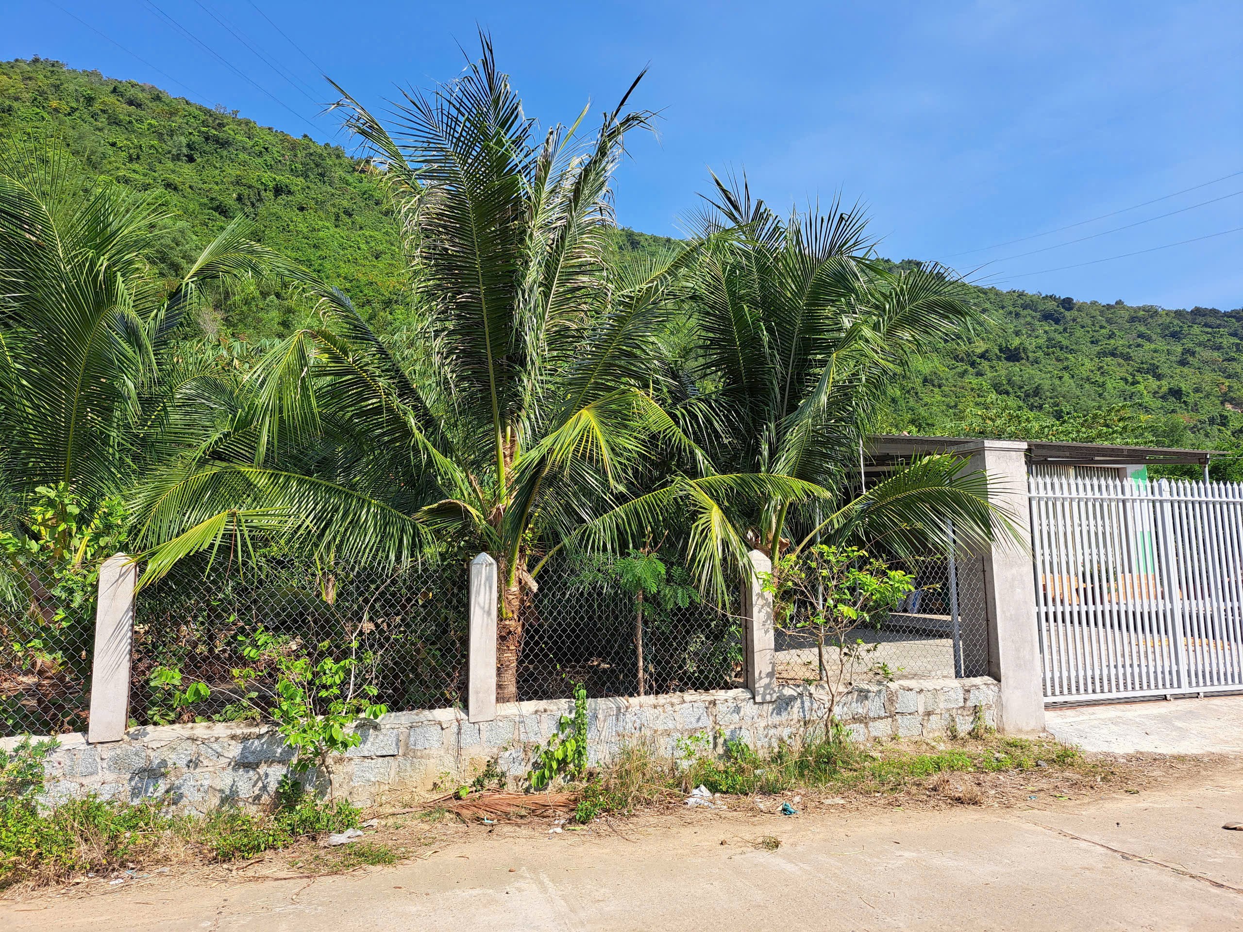 Bán đất thổ cư sát nhà máy khatoco Ninh Ích Ninh Hoà 0985451850 4