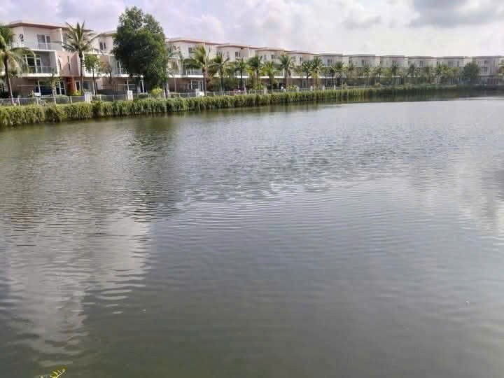 Cần bán Biệt thự Phường Phú Hữu, Quận 9, Diện tích 150m², Giá 8.6 Tỷ 11