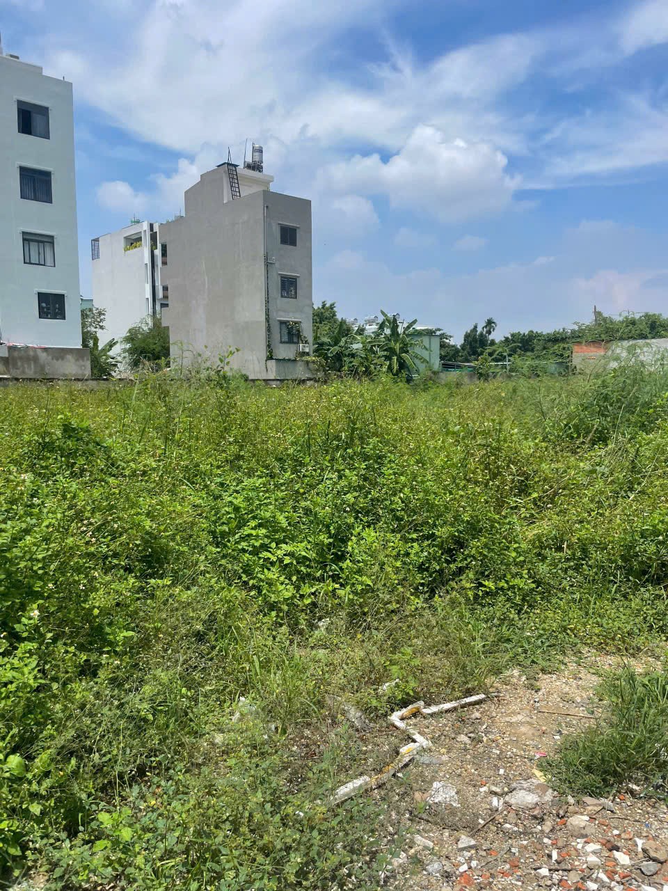 ĐẤT 3.395M² FULL THỔ – ĐƯỜNG VÕ THỊ LIỄU, AN PHÚ ĐÔNG, Q12 – 2 SỔ RIÊNG 2