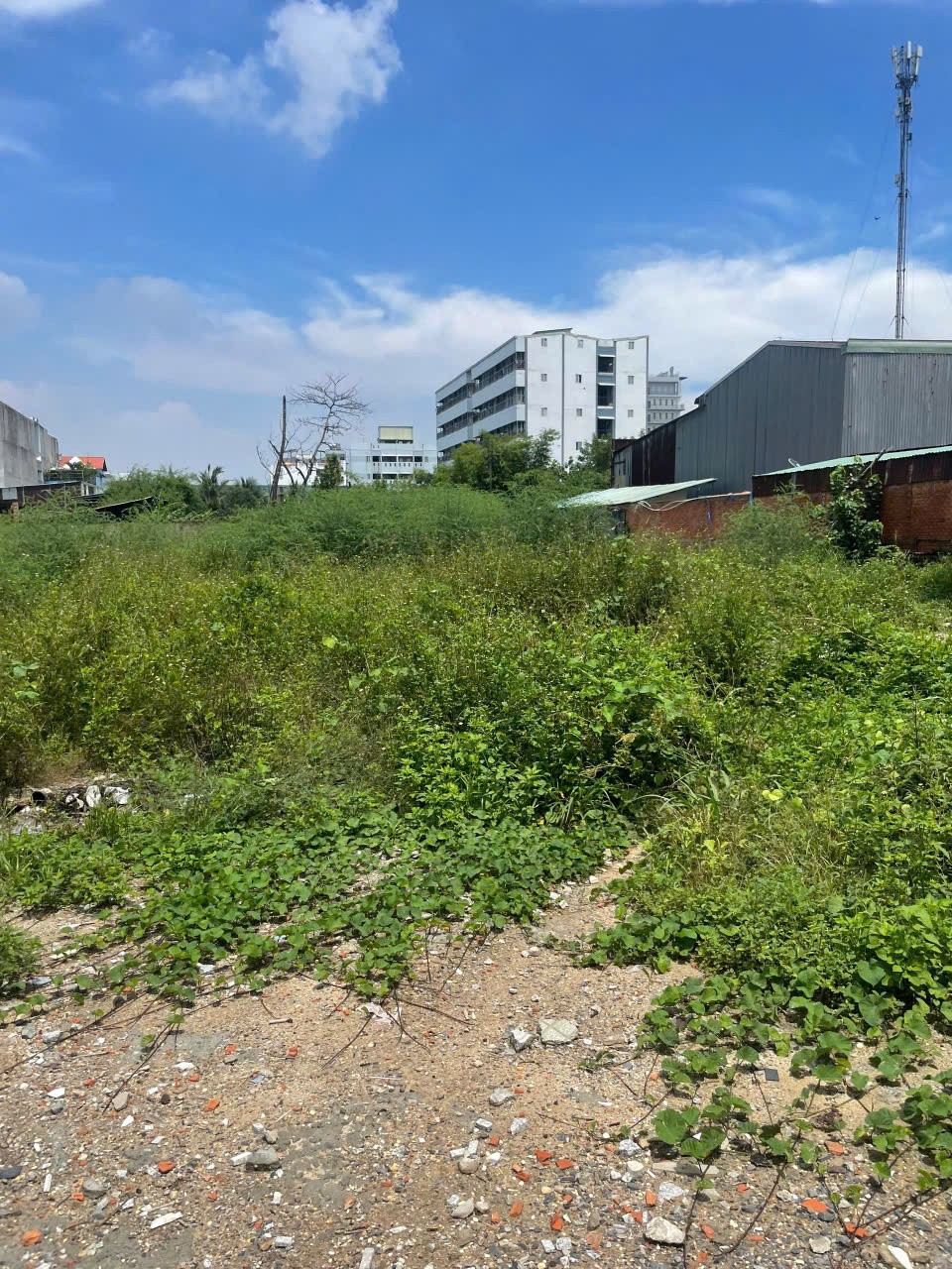 ĐẤT 3.395M² FULL THỔ – ĐƯỜNG VÕ THỊ LIỄU, AN PHÚ ĐÔNG, Q12 – 2 SỔ RIÊNG 3