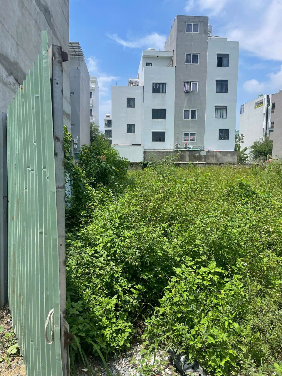 ĐẤT 3.395M² FULL THỔ – ĐƯỜNG VÕ THỊ LIỄU, AN PHÚ ĐÔNG, Q12 – 2 SỔ RIÊNG 4
