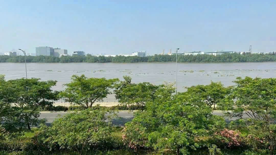 Cần bán Văn phòng Phường Bình Trưng Tây, Quận 2, Diện tích 288m², Giá 200 Tỷ 2