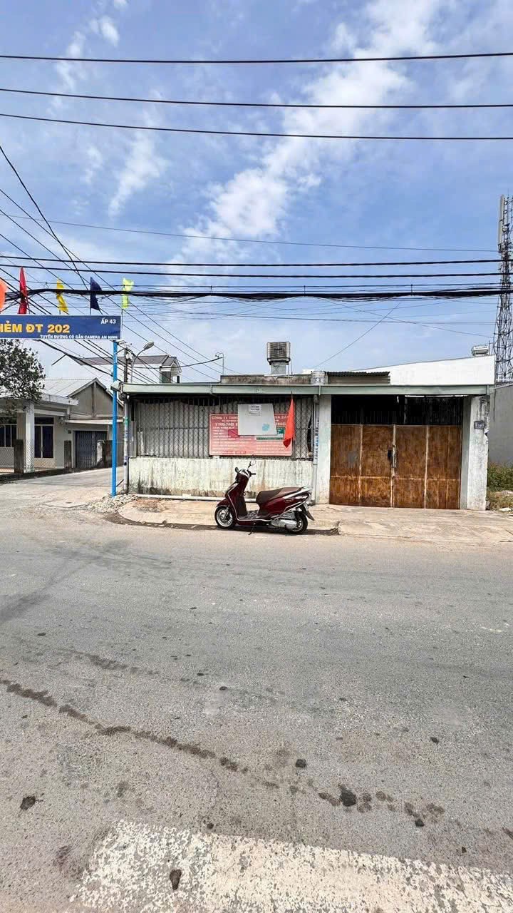 NHÀ XƯỞNG 2 MẶT TIỀN NGUYỄN THỊ SÁNG, HÓC MÔN – GIÁ CHỈ 5,5 TỶ
