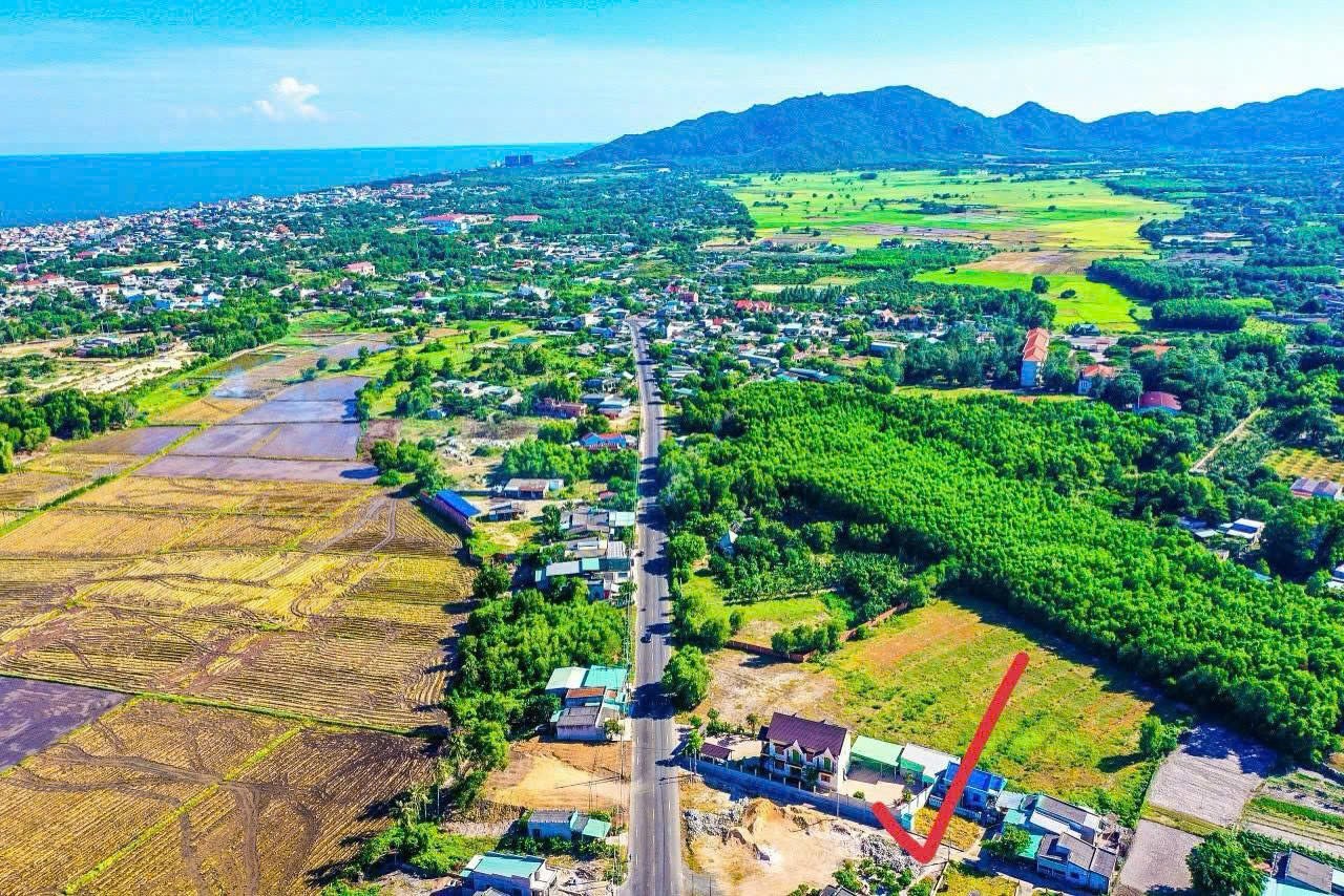 Cần bán Đất Đất Đỏ, Bà Rịa Vũng Tàu, Diện tích 467m², Giá 3.000.000 Triệu/m² 2