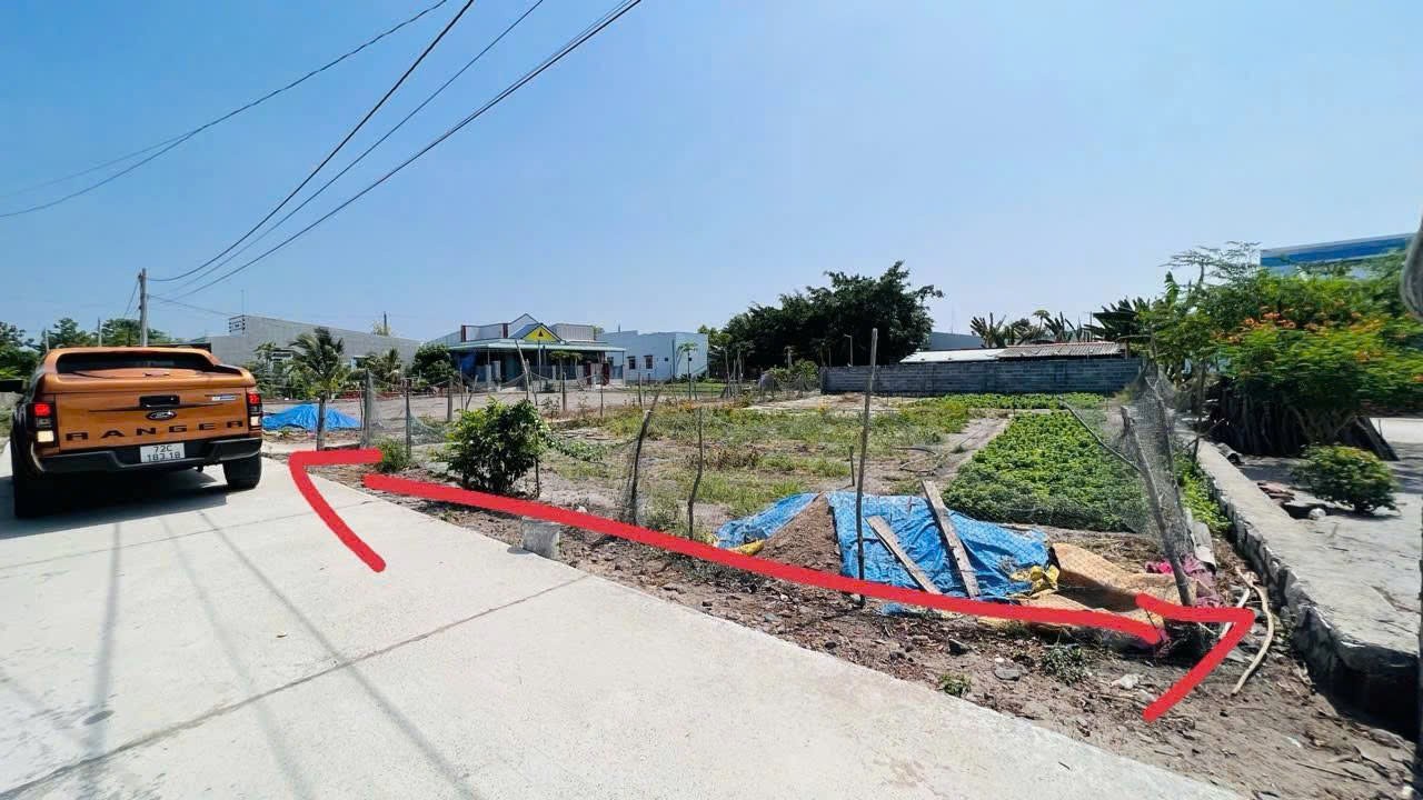 Cần bán Đất Đất Đỏ, Bà Rịa Vũng Tàu, Diện tích 467m², Giá 3.000.000 Triệu/m² 3