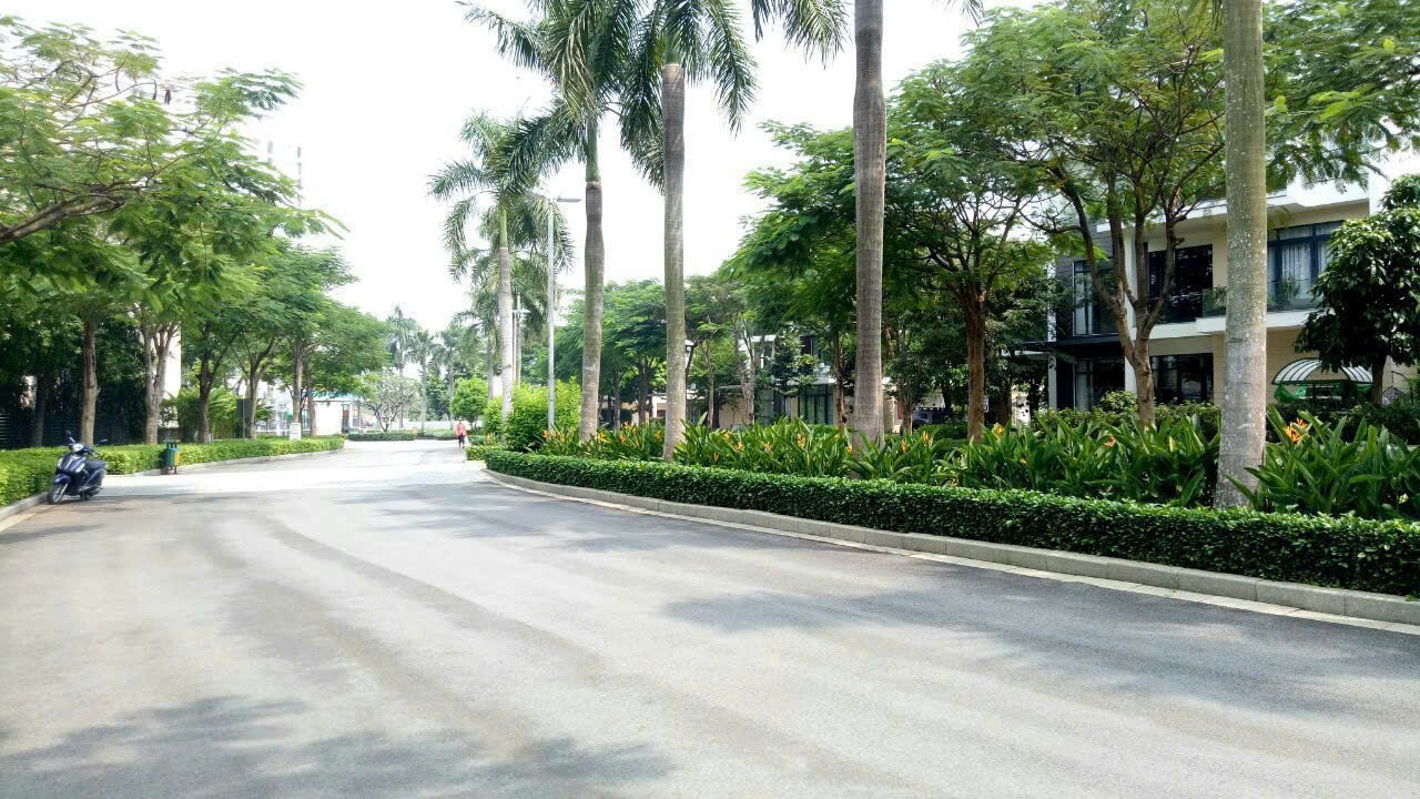 Cần bán Biệt thự Phường Phú Hữu, Quận 9, Diện tích 423m², Giá 58 Tỷ