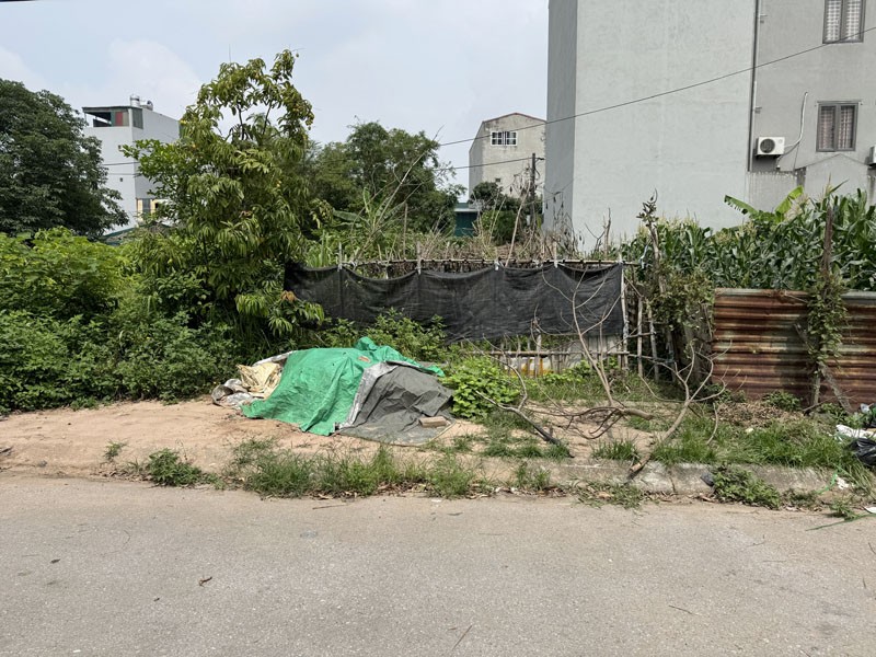 Cần bán Đất Phường Thạch Bàn, Long Biên, Diện tích 77m², Giá 10 Tỷ