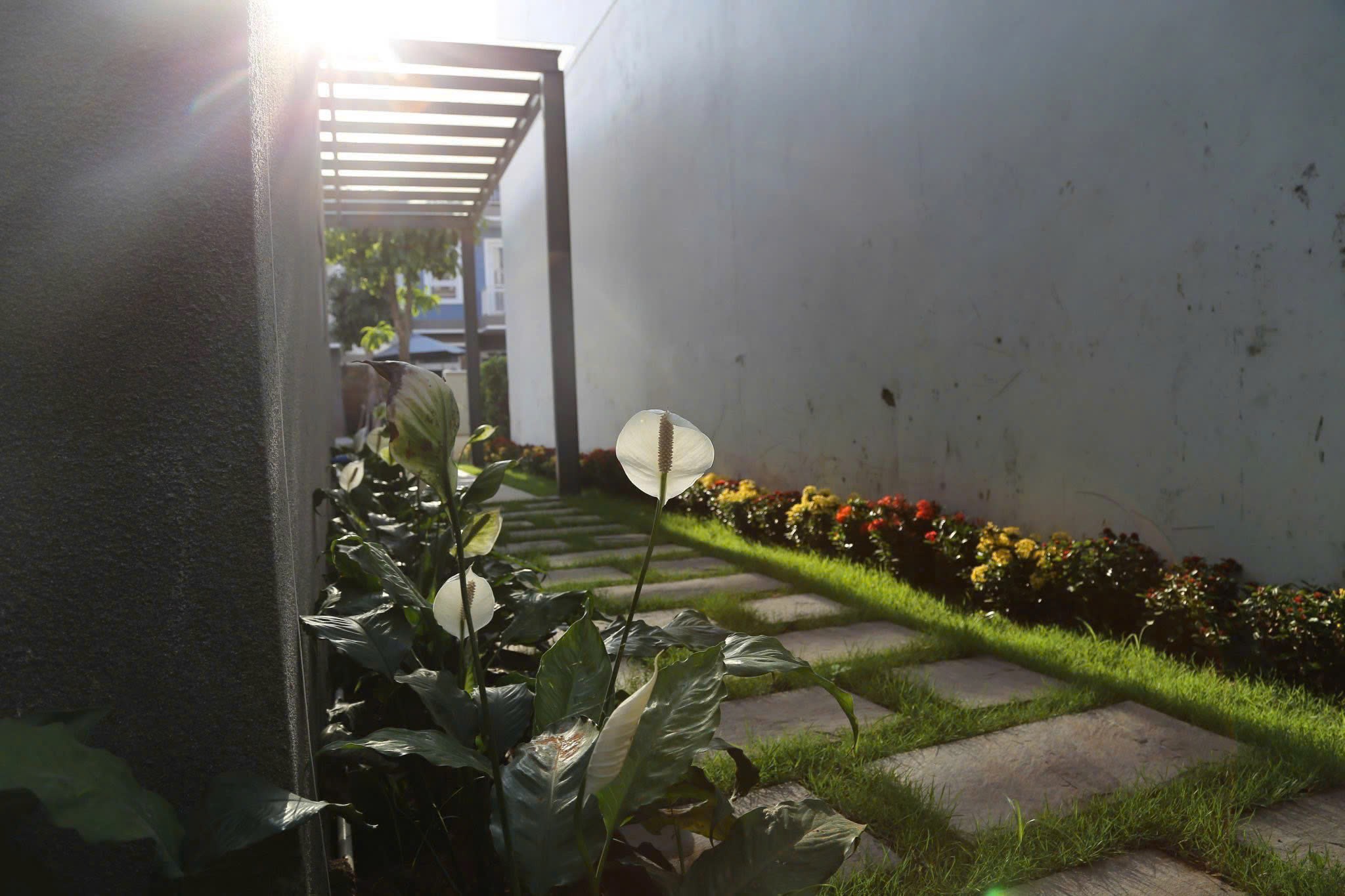 Cho thuê Nhà mặt tiền Phường Phú Hữu, Quận 9, Diện tích 120m², Giá 21 Triệu/tháng 4