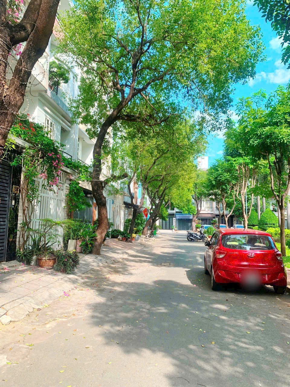 Cần bán Đất đường 44, Phường Tân Phong, Diện tích 76m², Giá 12.5 Tỷ 3