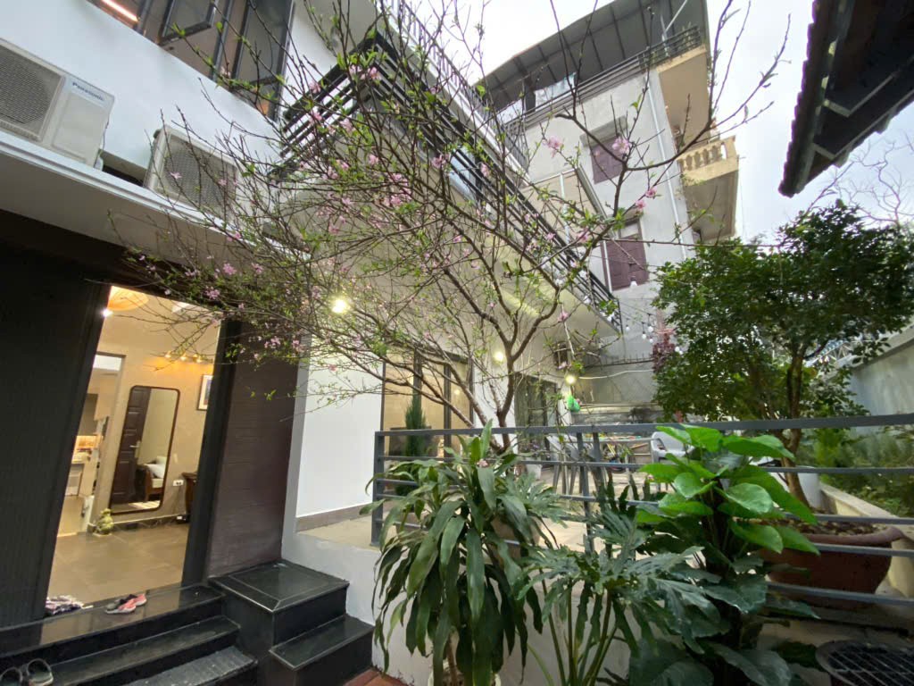 Cần bán Nhà mặt tiền đường Tạ Quang Bửu, Phường Bách Khoa, Diện tích 240m², Giá 13.5 Tỷ 5
