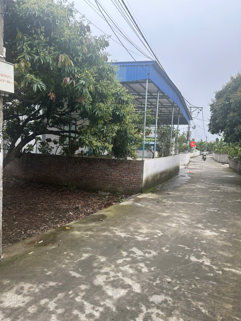 Cần bán Đất Xã Thanh Hồng, Thanh Hà, Diện tích 125m², Giá 024 Triệu/m² 3