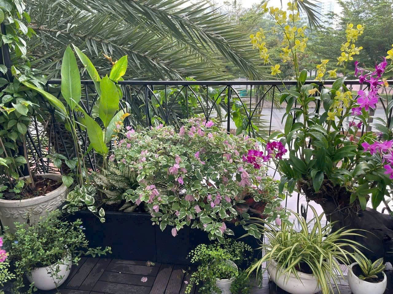 Cần bán Biệt thự Phường Phú Mỹ, Quận 7, Diện tích 290m², Giá 140 Tỷ 5
