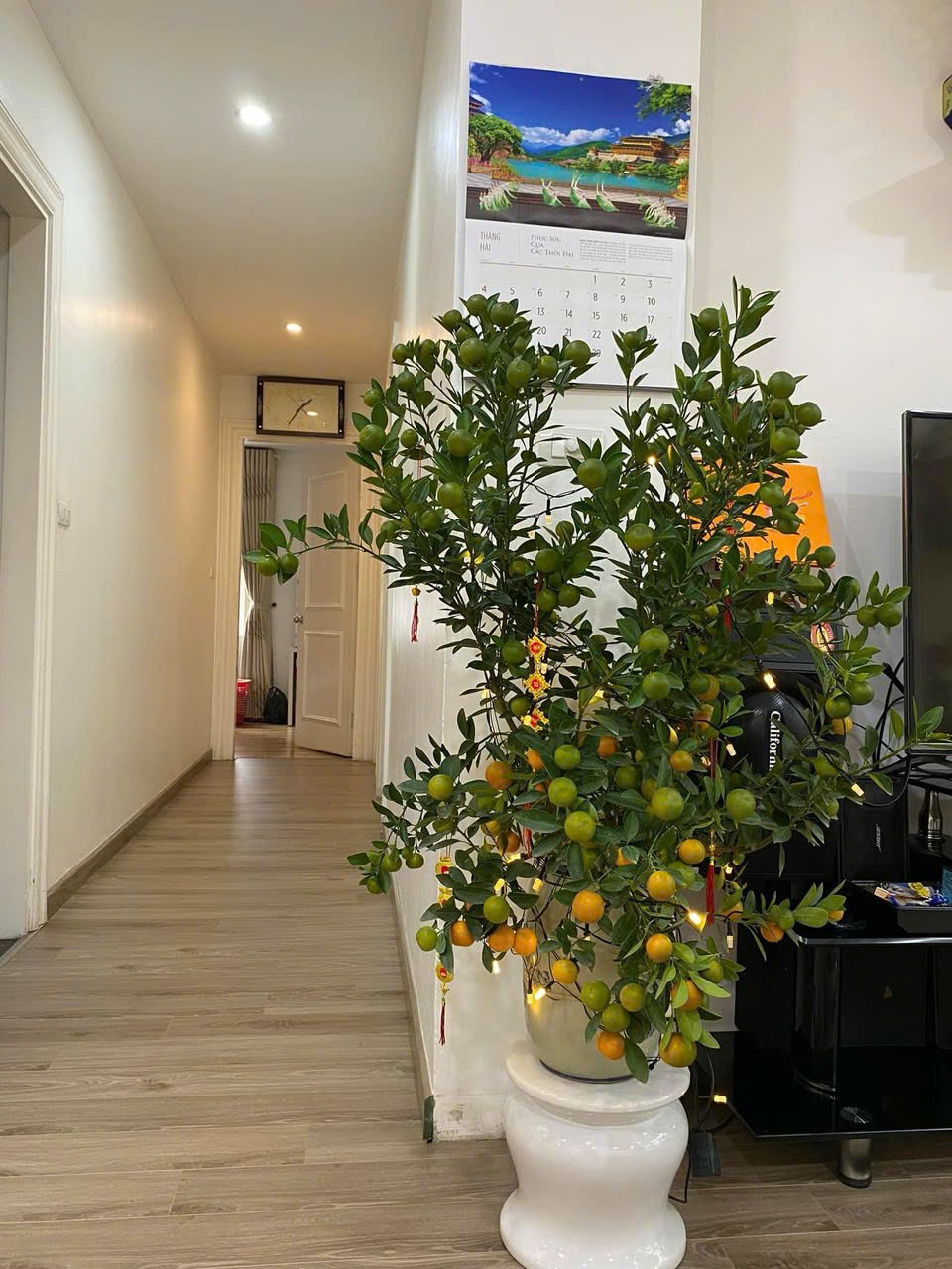 Căn Hộ Chung Cư Cao Cấp Residence Nguyễn Huy Tưởng 4