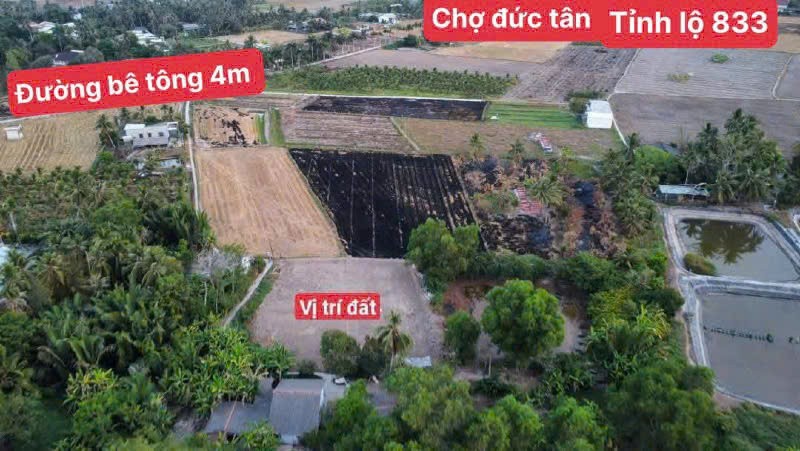 6 nền thổ cư xã Đức Tân, huyện Tân Trụ dt 179m2 giá 320tr / nền 4