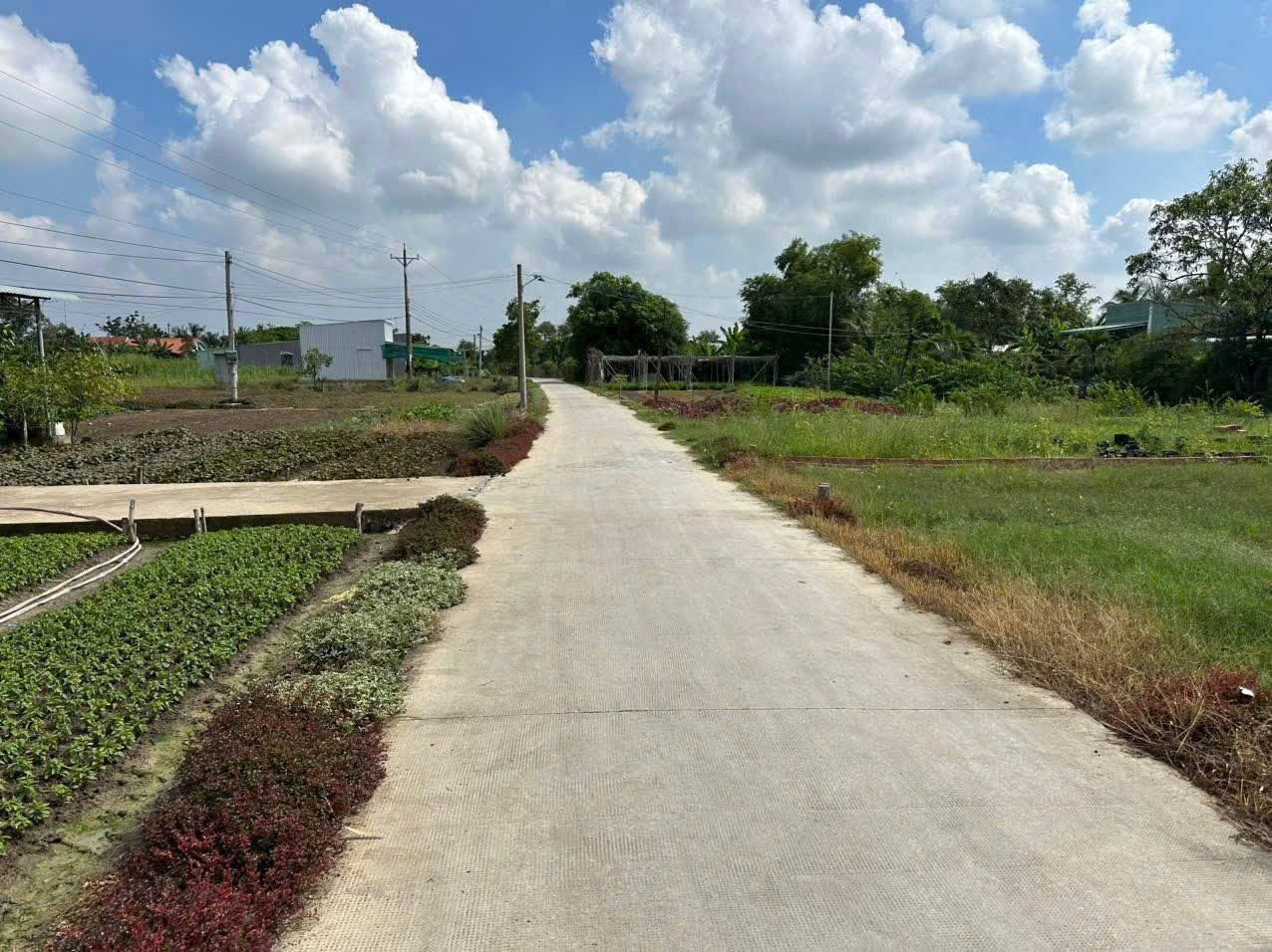 245m2 thổ cư góc 2 mặt tiền đường xã Phước Hậu, Cần Giuộc giá 1,8 tỷ