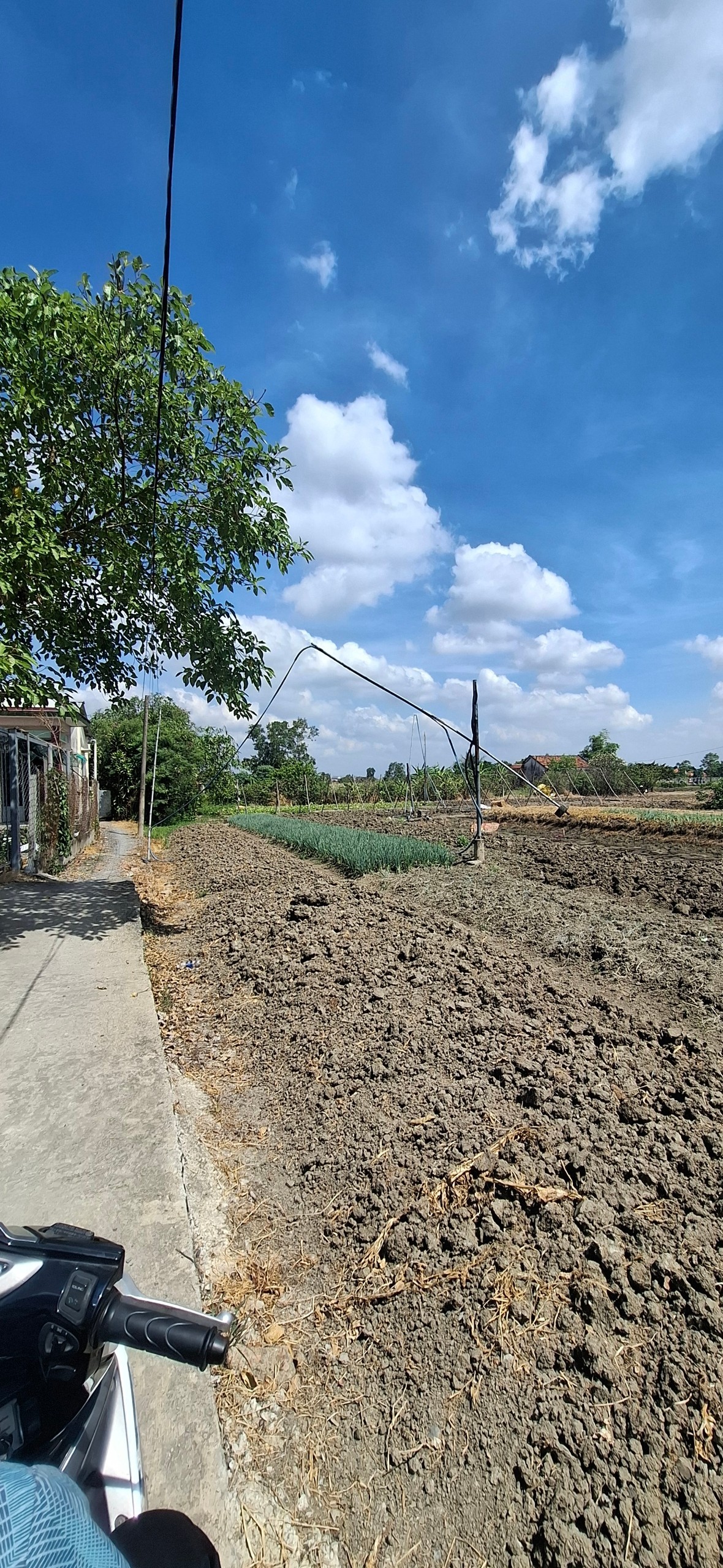 Cần bán Đất đường Tân Liễu, Xã Hưng Long, Diện tích 2300m², Giá 13 Tỷ 3
