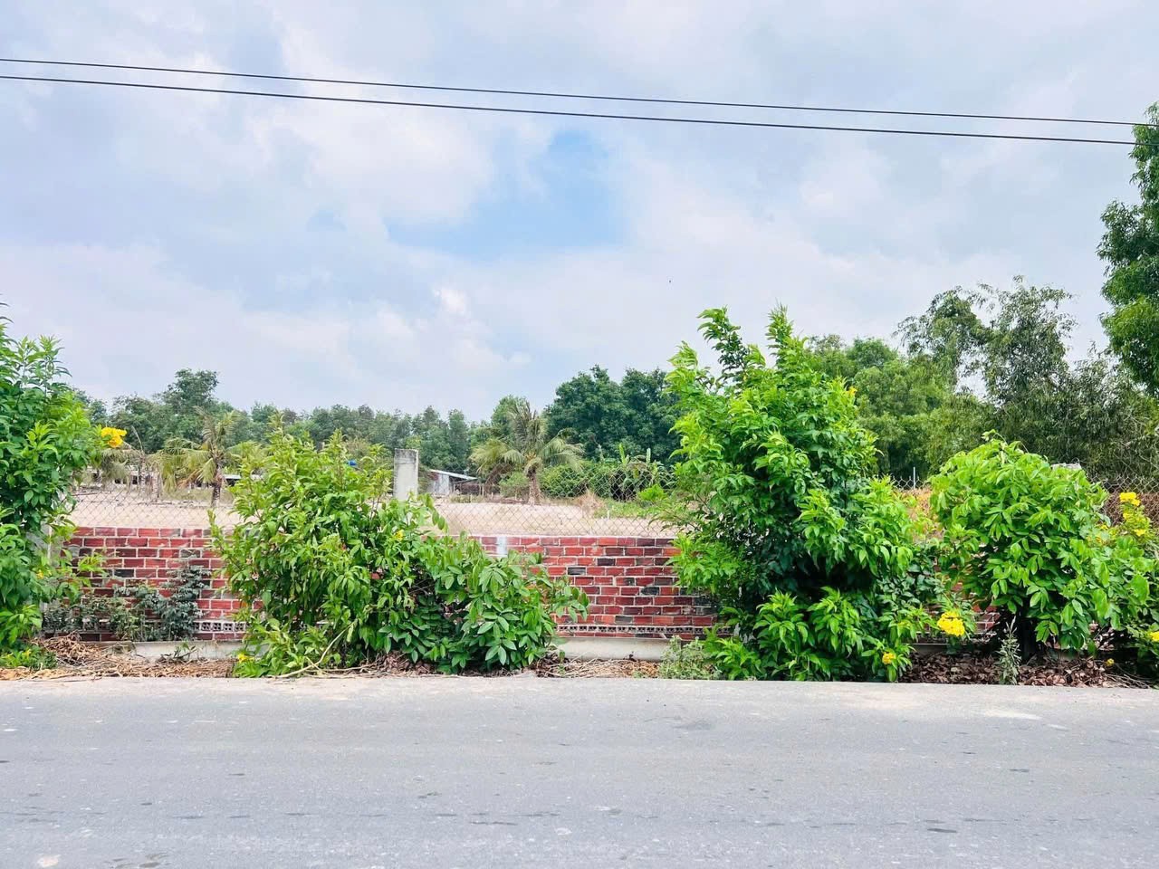 Cần bán Đất Đất Đỏ, Bà Rịa Vũng Tàu, Diện tích 154m², Giá Thương lượng 3