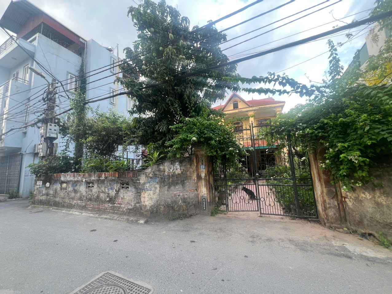 Cần bán Nhà mặt tiền đường Bình Minh, Thị trấn Trâu Quỳ, Diện tích 418m², Giá 68.5 Tỷ 4