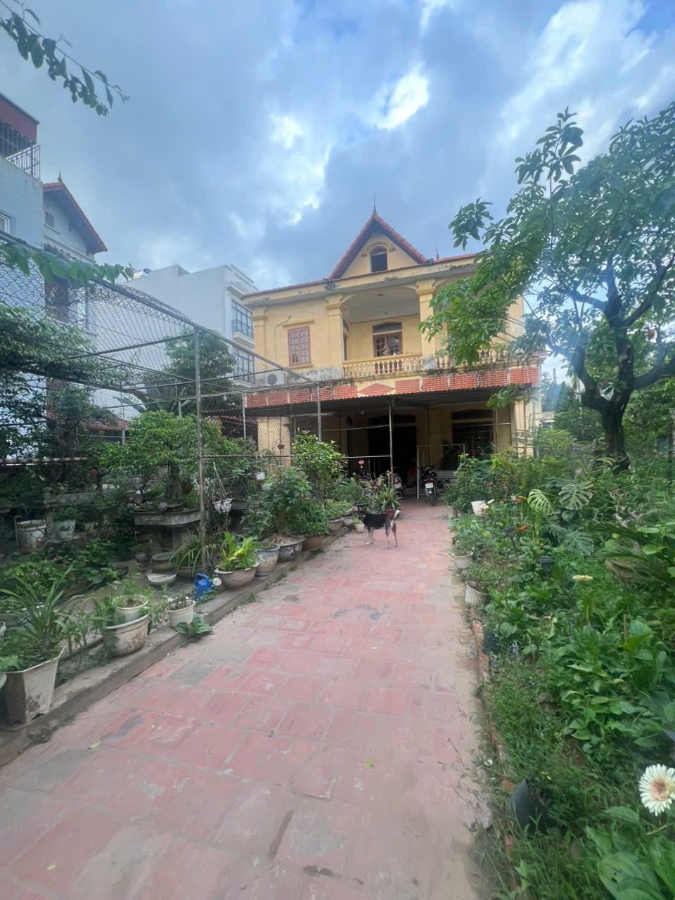 Cần bán Nhà mặt tiền đường Bình Minh, Thị trấn Trâu Quỳ, Diện tích 418m², Giá 68.5 Tỷ 5