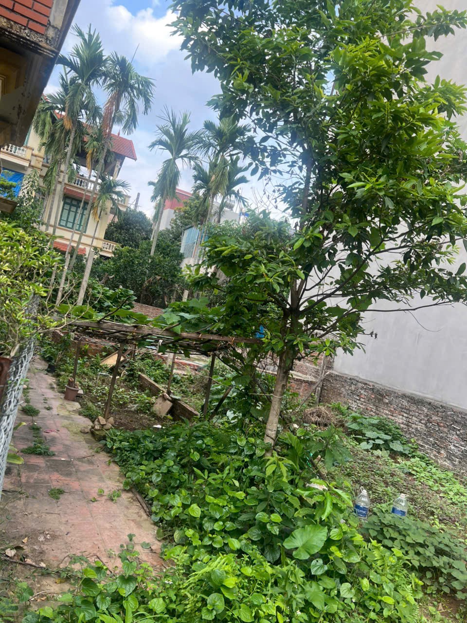 Cần bán Nhà mặt tiền đường Bình Minh, Thị trấn Trâu Quỳ, Diện tích 418m², Giá 68.5 Tỷ 8