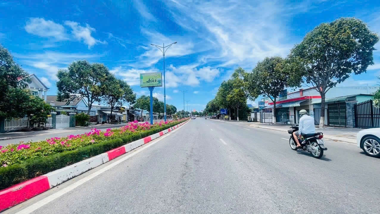 Cần bán Đất Đất Đỏ, Bà Rịa Vũng Tàu, Diện tích 248m², Giá Thương lượng 3