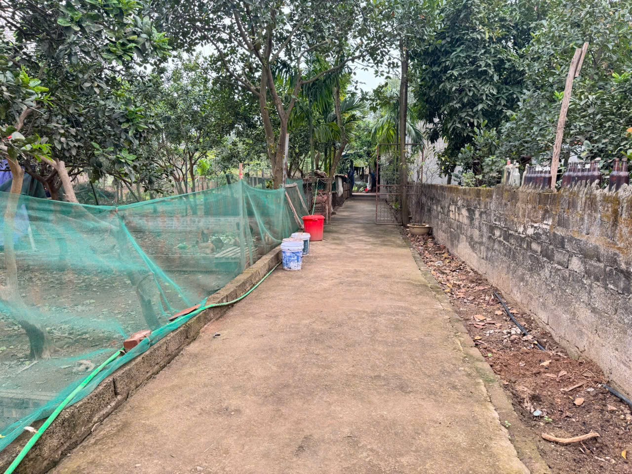 Bán 35m đất tổ 9, Quang Minh, Mê Linh. Gần KCN và trường cao đẳng Y Dược Tuệ Tĩnh 3