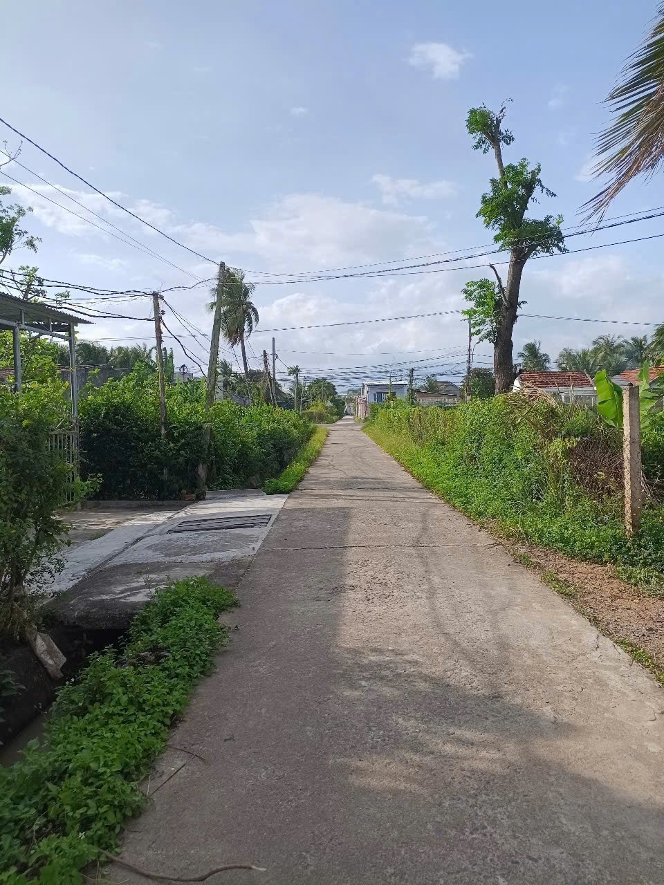 Chủ cần bán nhanh lô đất gần chợ Lạc An giá chỉ hơn 3tr Ninh Thọ Ninh Hòa 0985451850 2