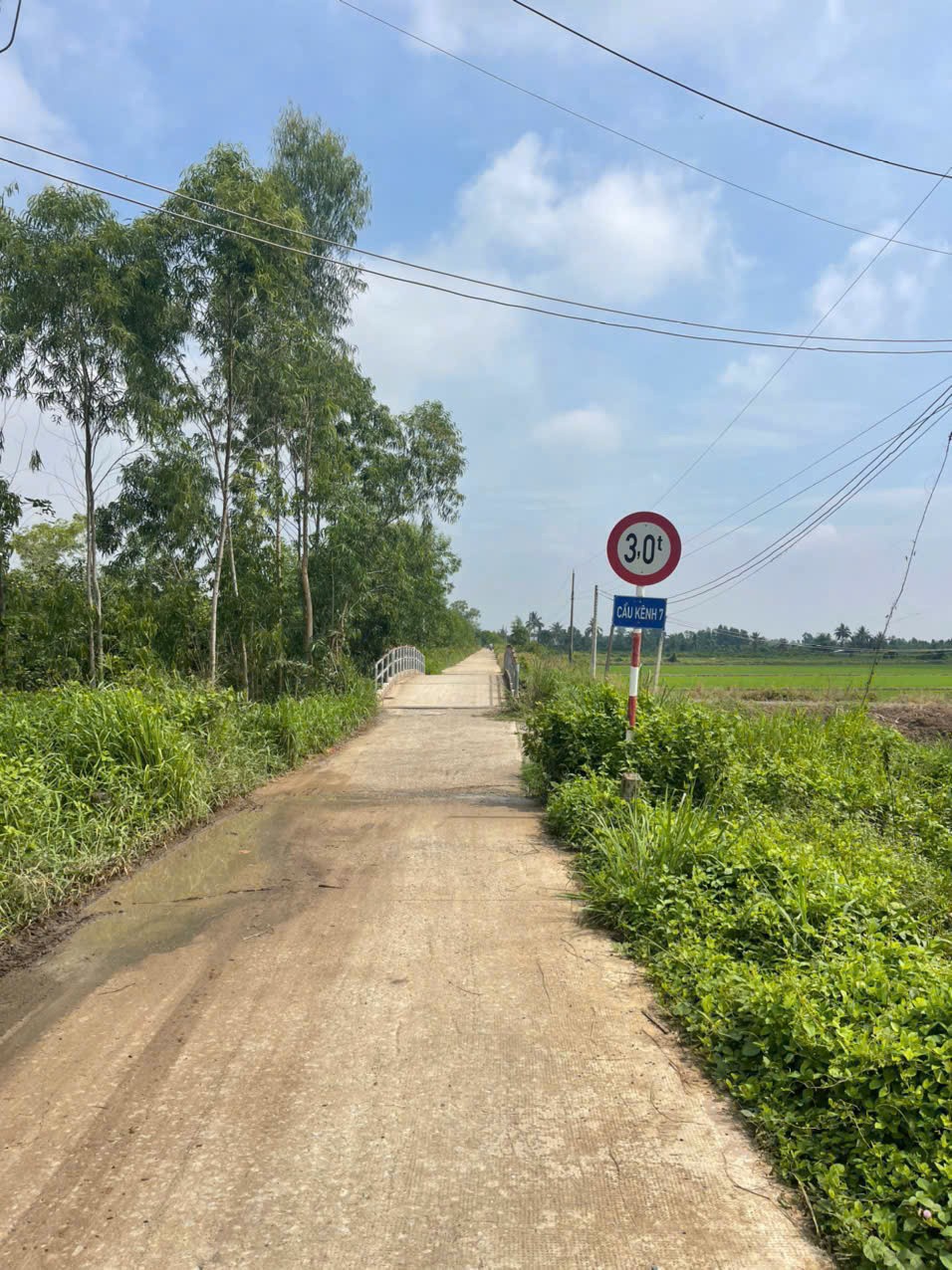 17200m2 đất vườn xã Tân Hòa, Bến Lức , Long An 4
