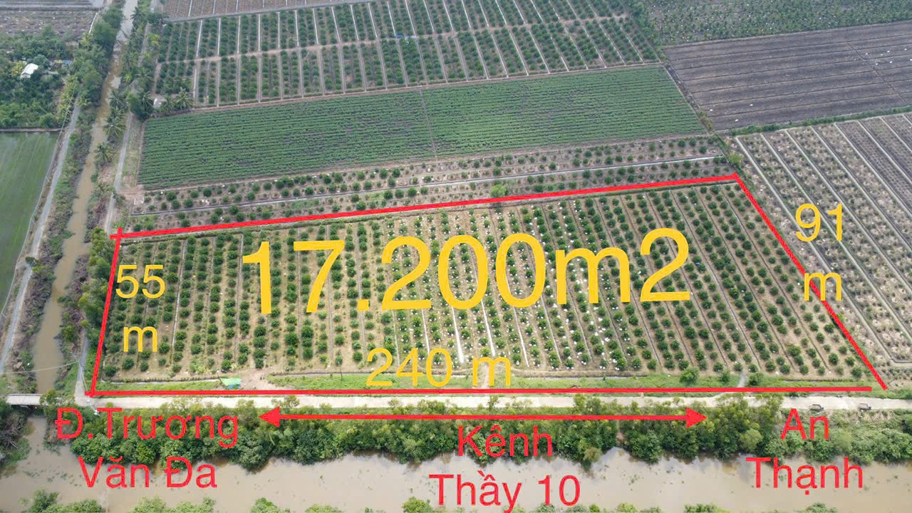 17200m2 đất vườn xã Tân Hòa, Bến Lức , Long An 5