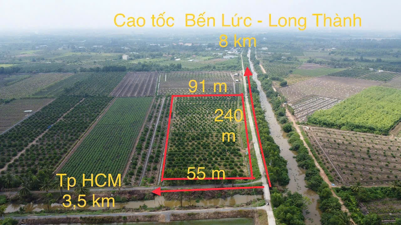 17200m2 đất vườn xã Tân Hòa, Bến Lức , Long An 7