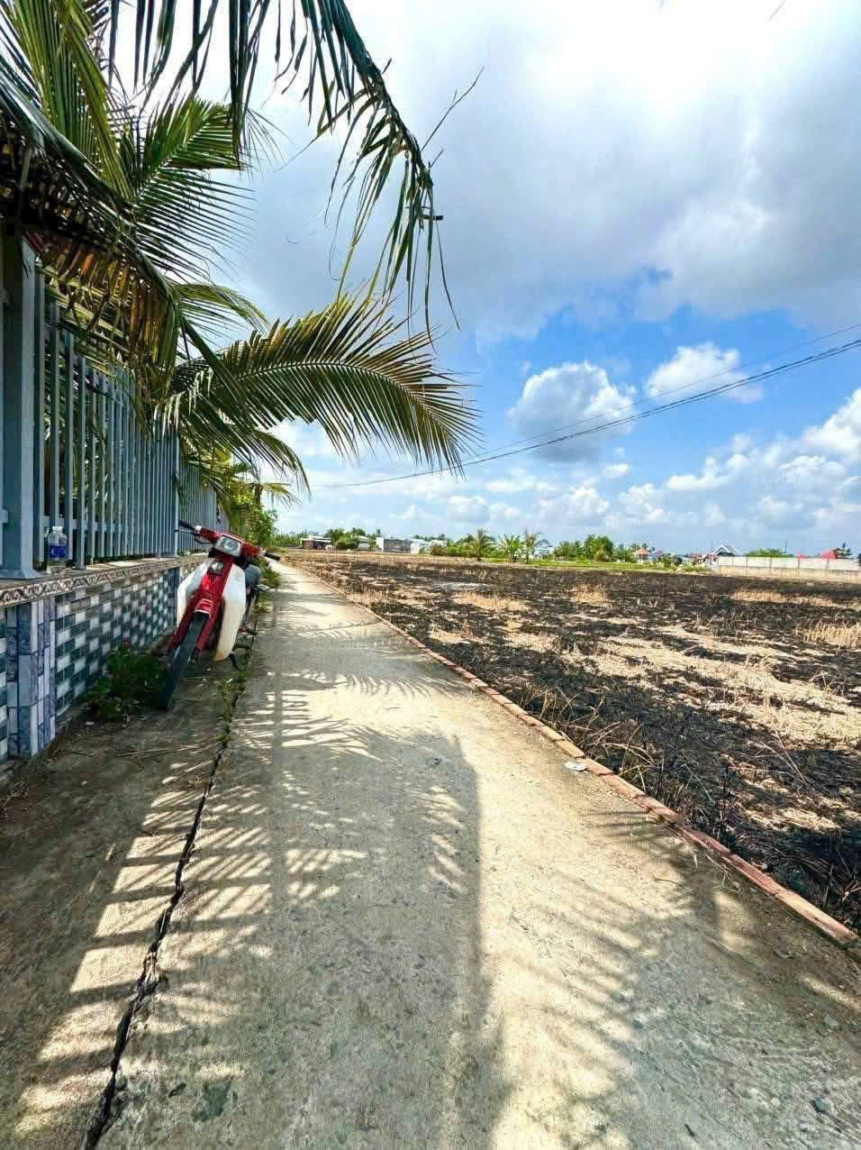 243m2 thổ cư 2 mặt tiền xã Long Hòa, Huyện Cần Đước giá 1,15 tỷ