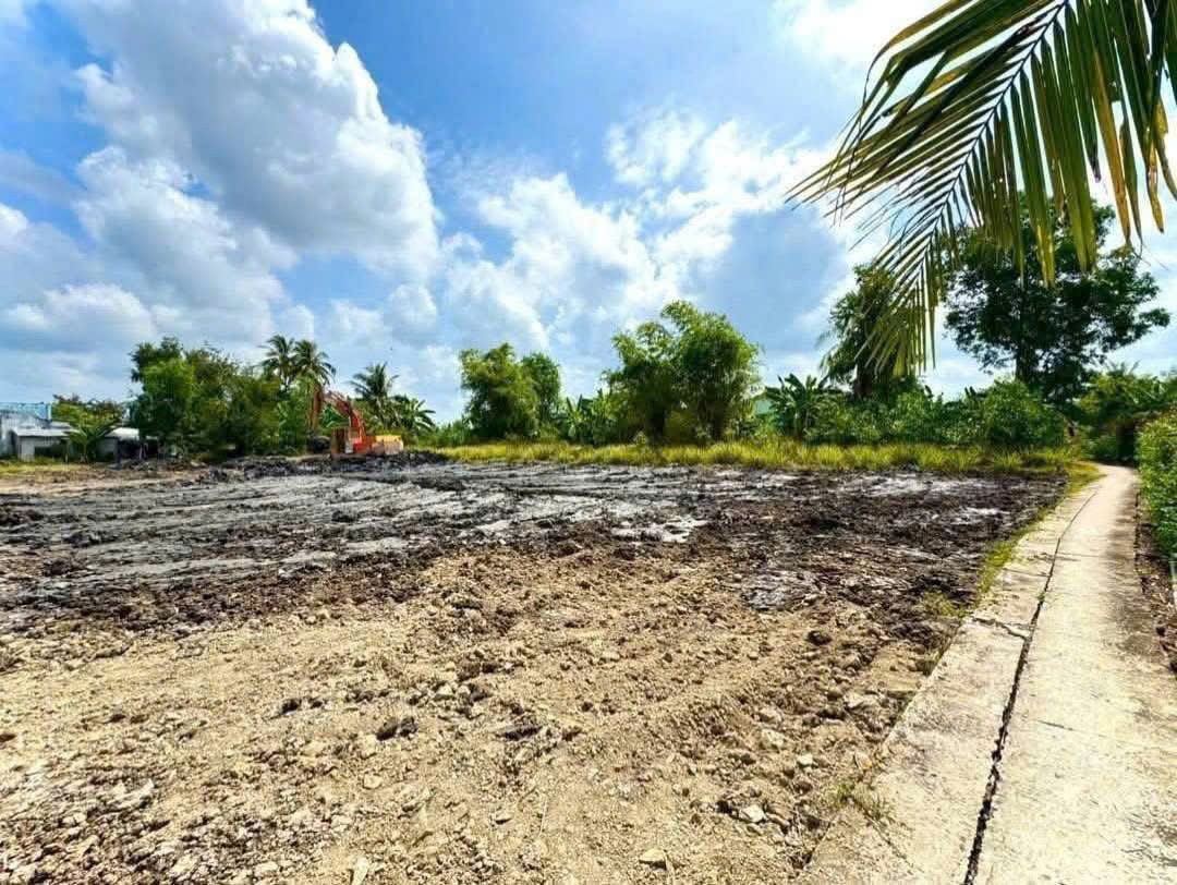 243m2 thổ cư 2 mặt tiền xã Long Hòa, Huyện Cần Đước giá 1,15 tỷ 3