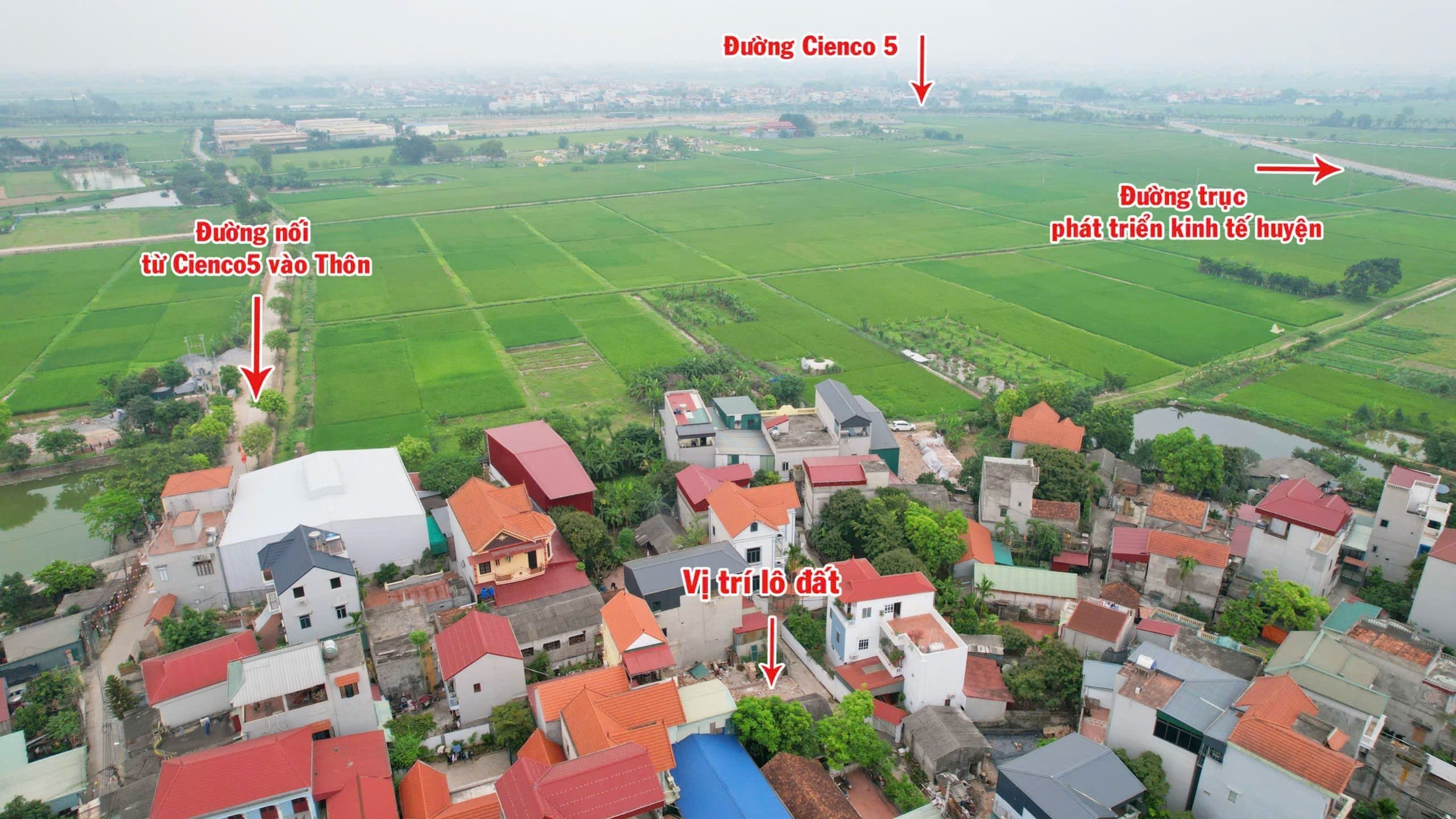 Bán đất Bùi Xá- Tam Hưng-Thanh Oai- 80m2- 49tr/m2