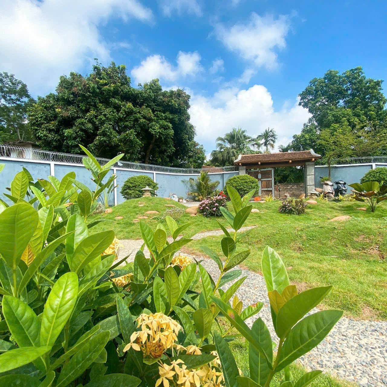 748m Chương Mỹ - Hà Nội . Sẵn khuôn viên 3
