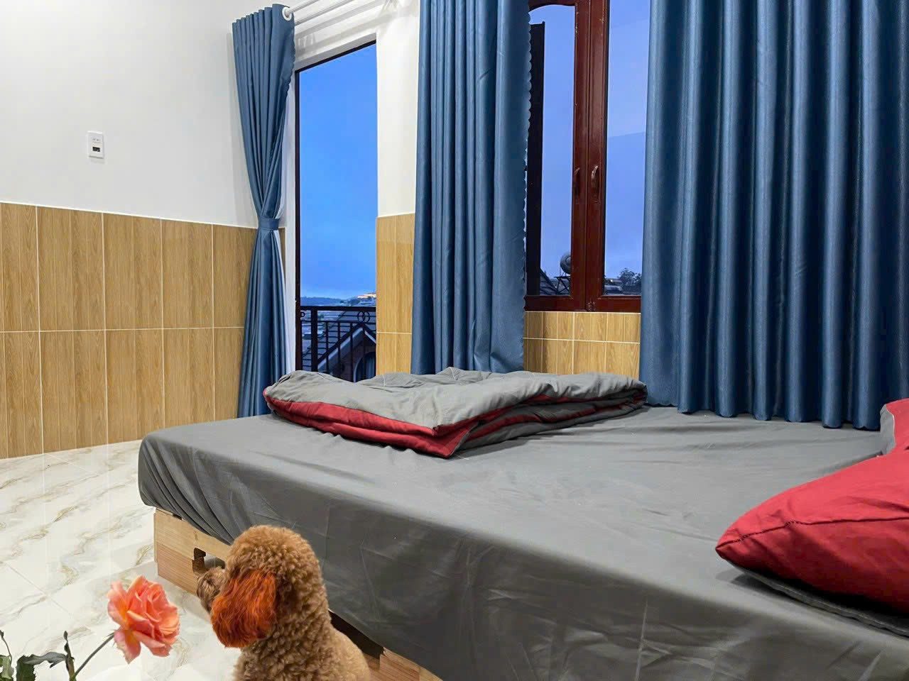 Bán nhà 2 mặt tiền 450m2 view thung lũng đèn Trịnh Hoài Đức phường 11 Đà Lạt - giá 9.5 tỷ 4