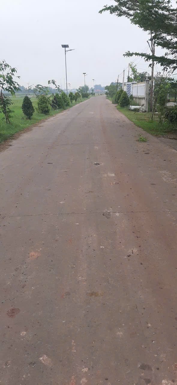493m2 đất mặt tiền đường Beton , xã Mỹ Hạnh Nam, Đức Hòa giá 2,5 tỷ