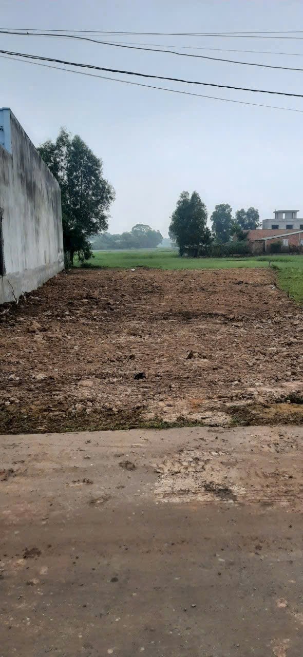 493m2 đất mặt tiền đường Beton , xã Mỹ Hạnh Nam, Đức Hòa giá 2,5 tỷ 3