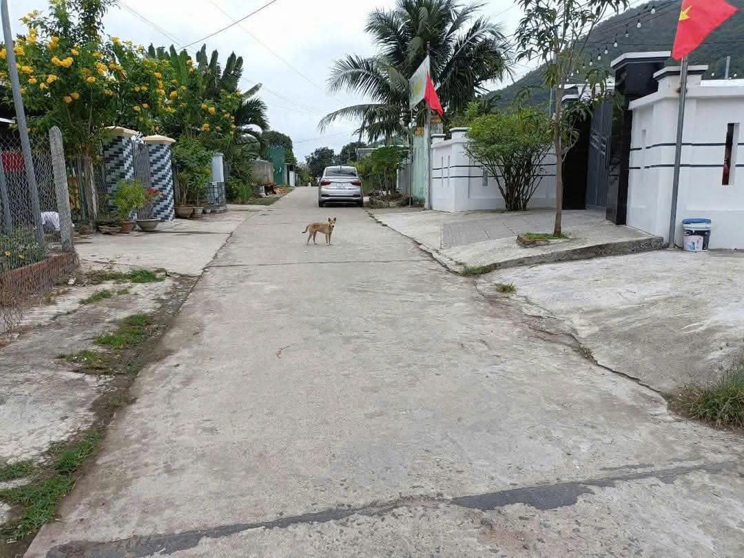 bán đất đường bán cờ giá 6tr6 Diên An Diên Khánh 0985451850 2