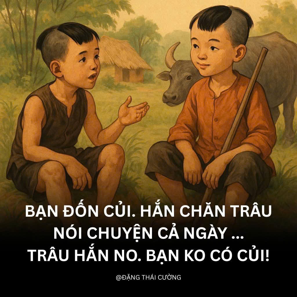 Cần bán Đất Phường Phước Long B, Quận 9, Diện tích 267m², Giá 31.5 Tỷ 2