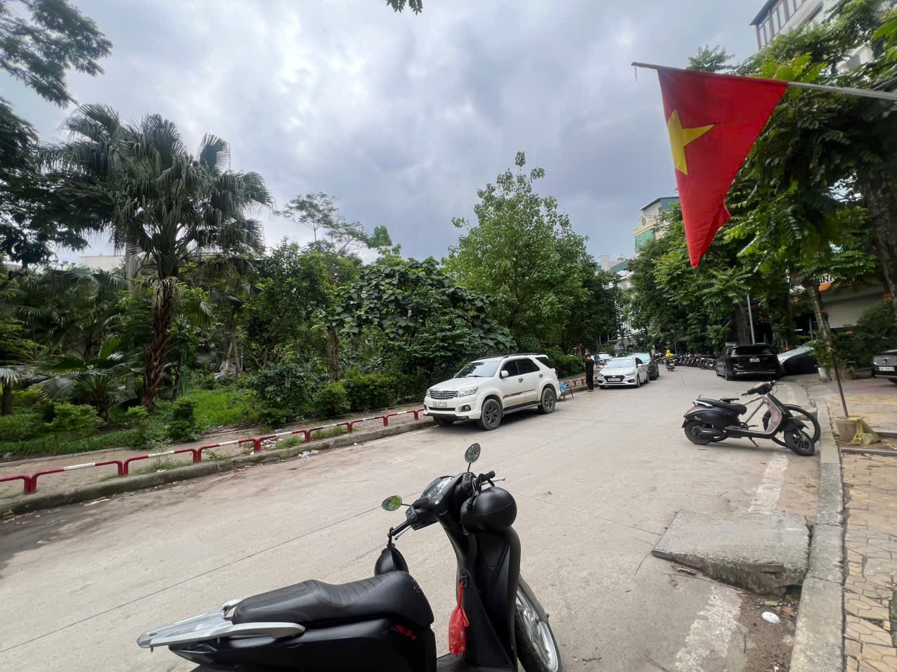Cần bán Đất đường Trần Quang Diệu, Phường Ô Chợ Dừa, Diện tích 700m², Giá 100 Tỷ 4