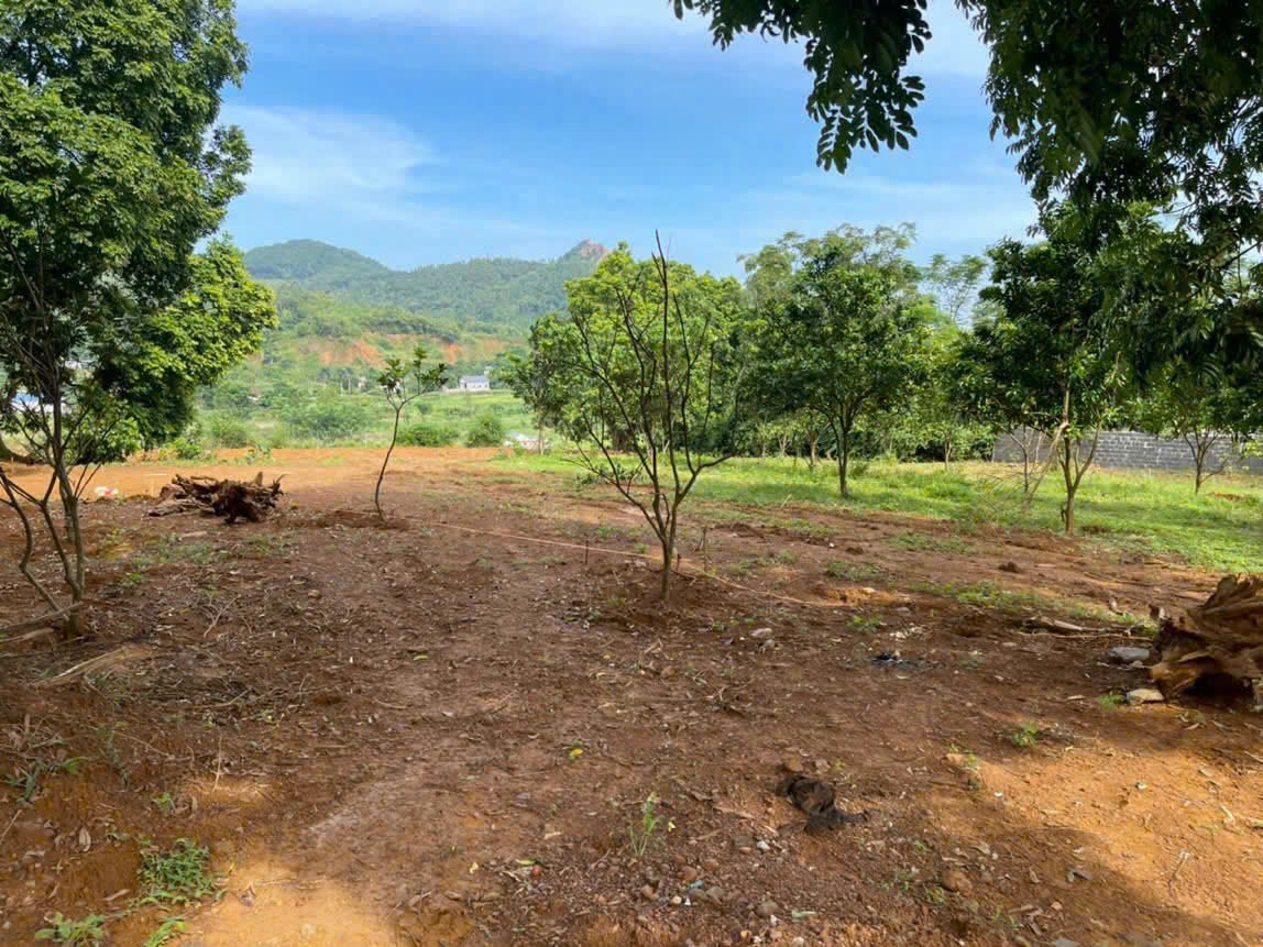 Lô góc 3 mặt tiền đường rộng, diện tích 2300m.300ont . Giá nhỉnh 4tr/m. 4