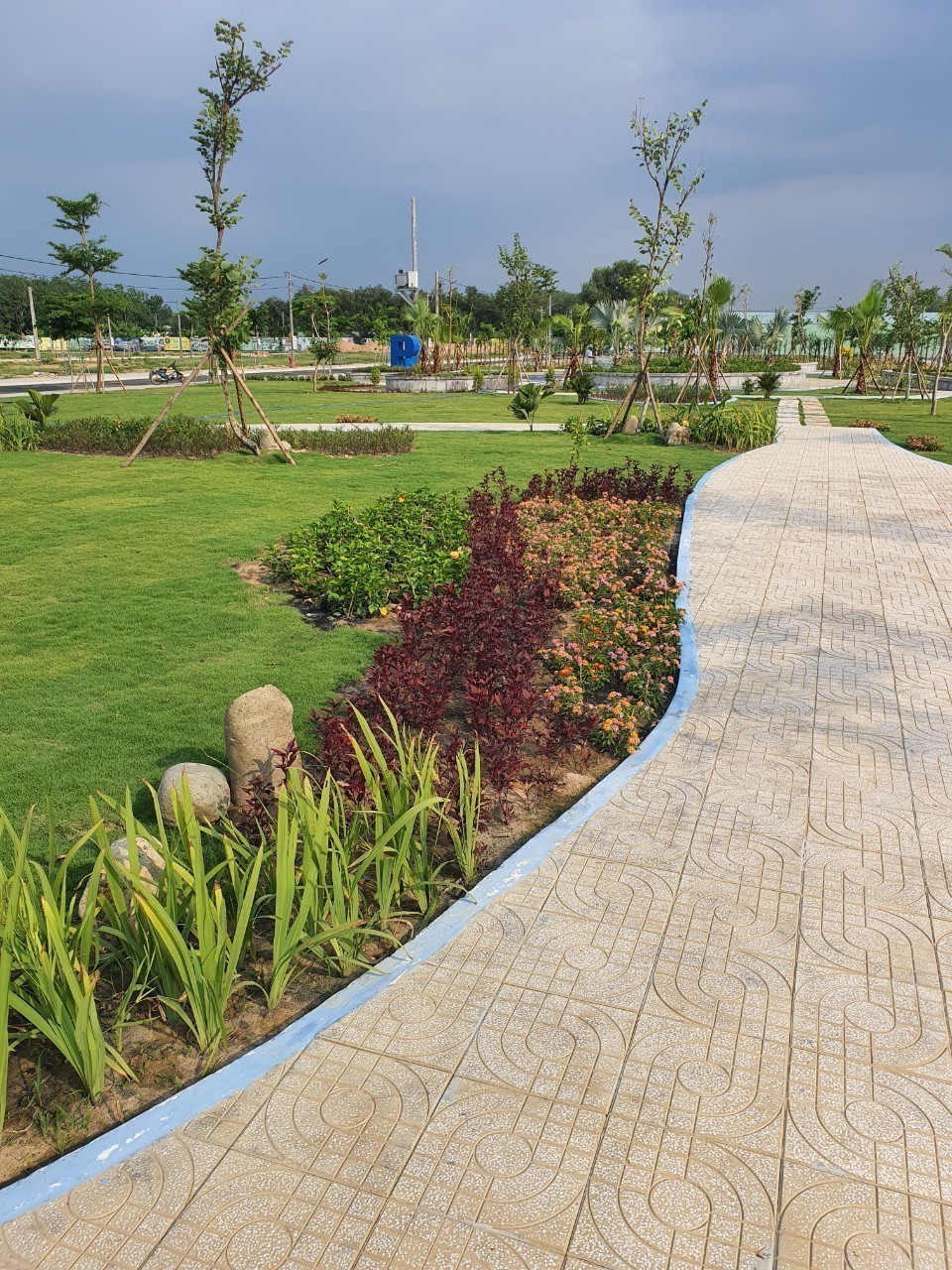 Cần bán Đất Xã Long Nguyên, Bàu Bàng, Diện tích 100m², Giá 0800 Triệu 4