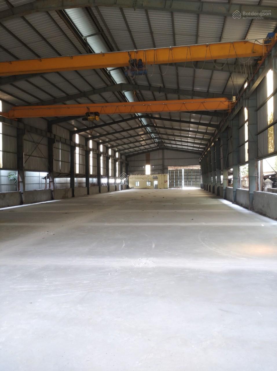 Cần bán Kho - Nhà xưởng Xã Kim Chung, Hoài Đức, Diện tích 5000m², Giá Thương lượng