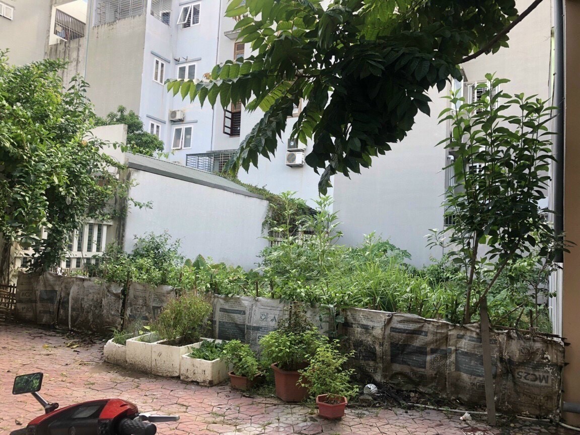 Bán lô đất nhà vườn 1 KĐT Tuệ Tĩnh, phường Cẩm Thượng, TP Hải Dương, 110.4m2, mt 8m, giá tốt 4