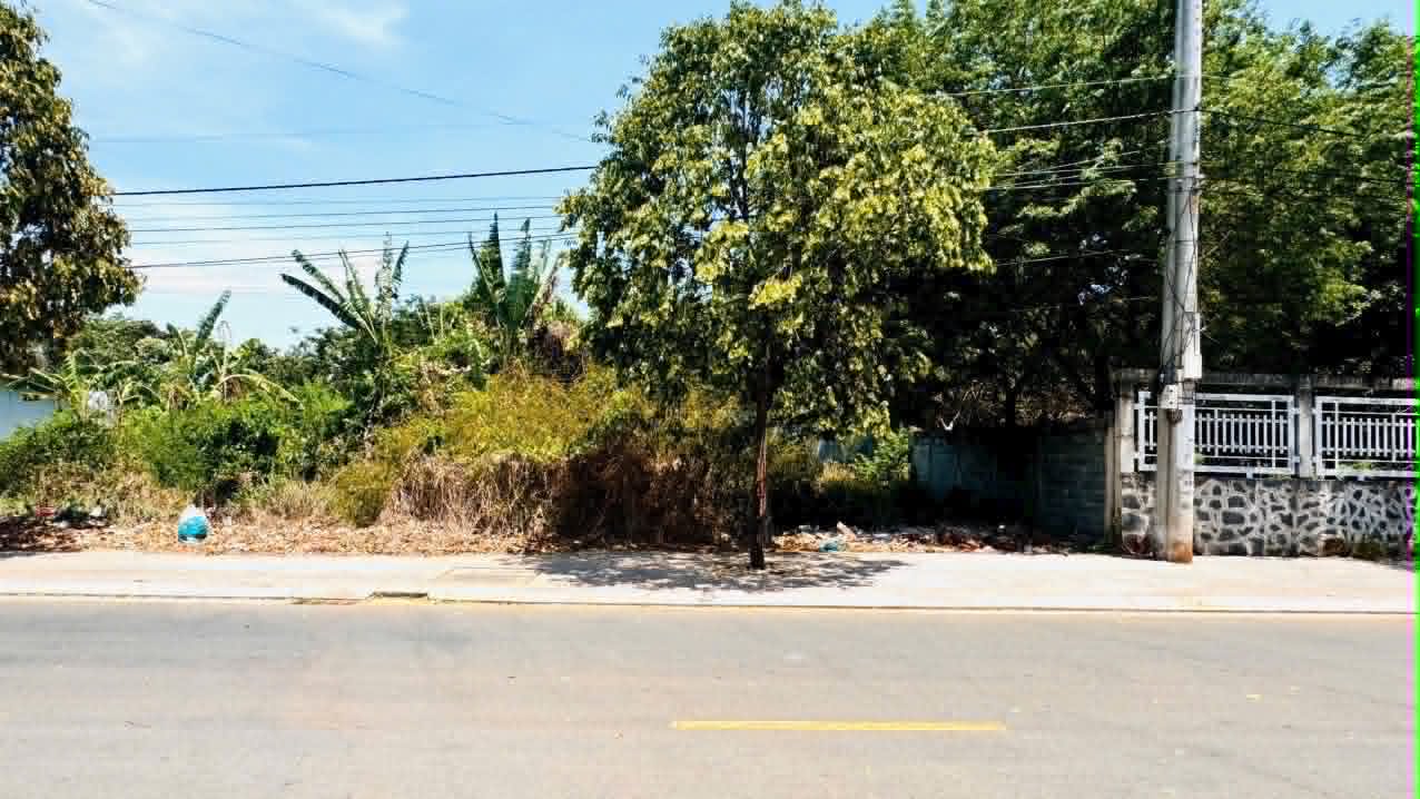 Cần bán Đất đường Quốc Lộ 55, Thị trấn Đất Đỏ, Diện tích 134m², Giá 970 Triệu 4