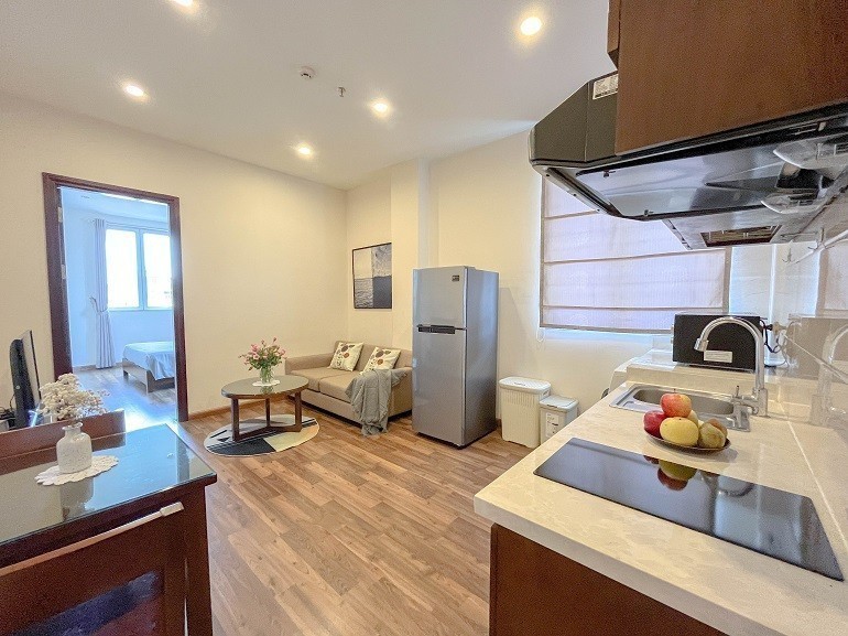 Cho thuê Căn hộ chung cư đường Lê Văn Hưu, Phường Bùi Thị Xuân, Diện tích 45m², Giá 16.5 Triệu 3